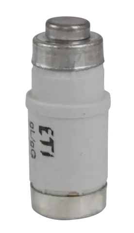 Image of D02 gG 40A/400V