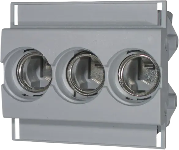 Image of *PP D02 K 3p