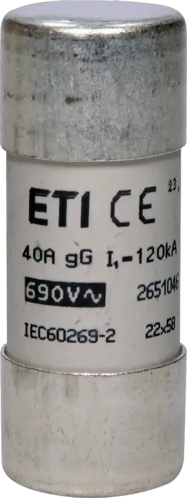 Image of CH22x58 gG 40A/690V