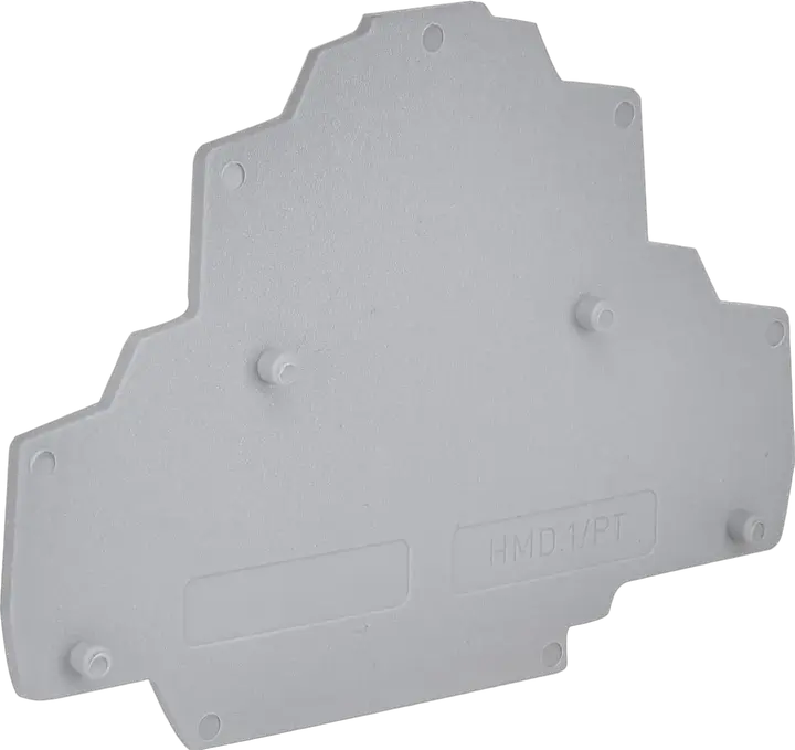 Image of ESP2-HMD.1/PT