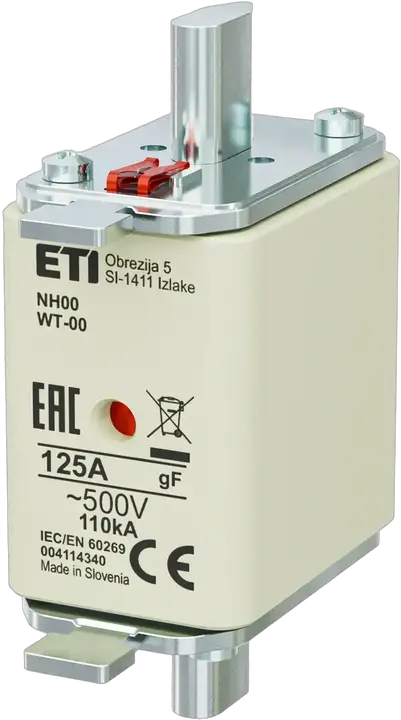 Image of NH00 gF 125A/500V