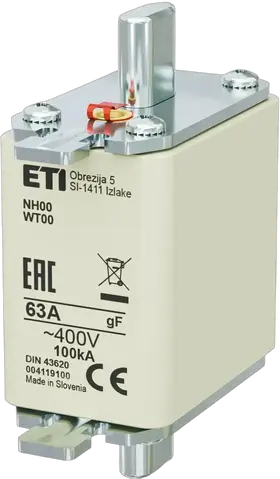 Image of NH00 gF 63A/400V