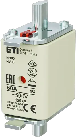 NH00 gG 50A/500V