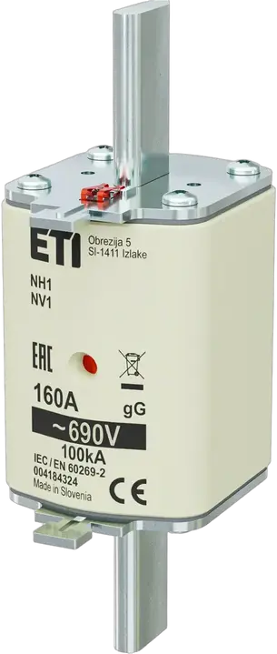 Image of NH1 gG 160A/690V