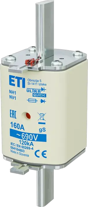 Image of NH1 gS 160A/690V