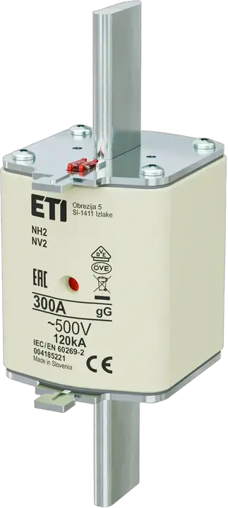 Image of NH2 gG 300A/500V
