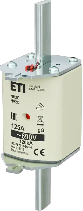Image of NH2C gG 125A/690V