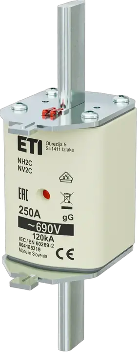 Image of NH2C gG 250A/690V