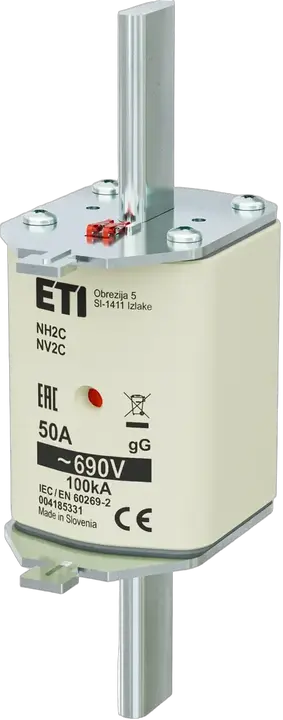 Image of NH2C gG 50A/690V
