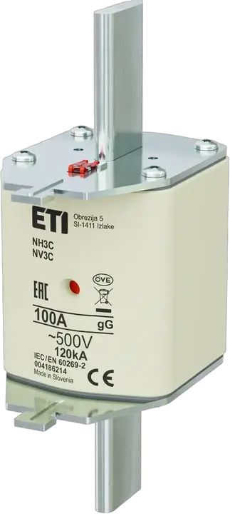 Image of NH3C gG 100A/500V