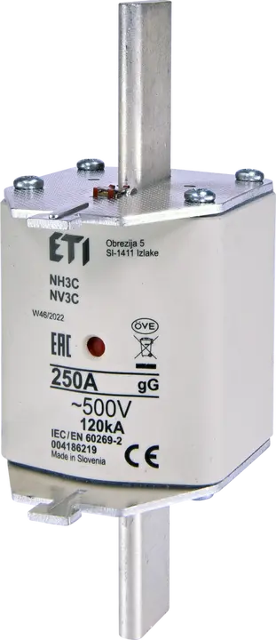 Image of NH3C gG 250A/500V