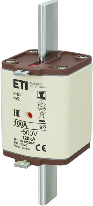 Image of NH2/I gG 100A/500V