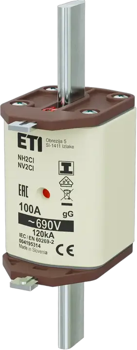 Image of NH2C/I gG 100A/690V