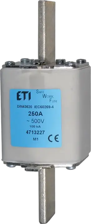 Image of NH2/I SWF 224A/500V