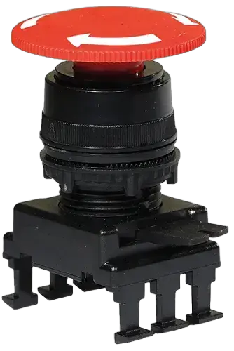 Image of *HH55C1