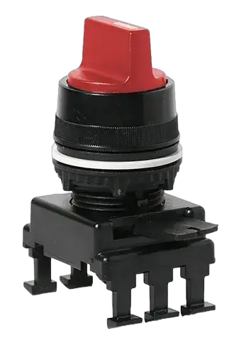 Image of *HL65C1