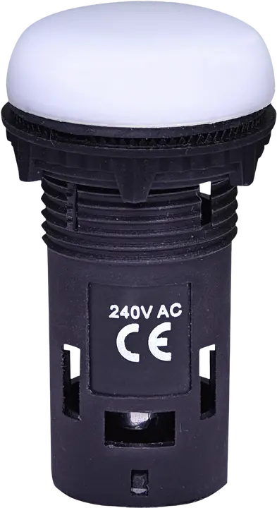 Image of * ECLI-240A-W