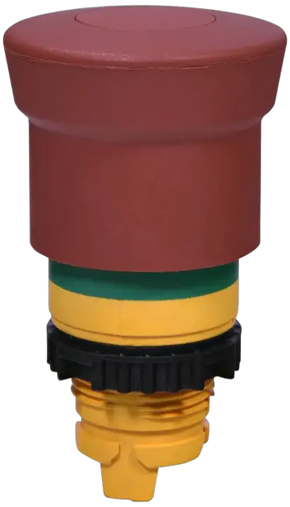 Image of NSE-PBM-P-RGM